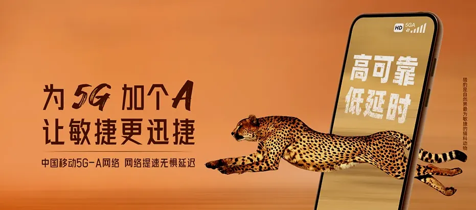 衡南县衡南县近尾洲镇 移动宽带移动宽带办理资费表